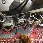 B&B 