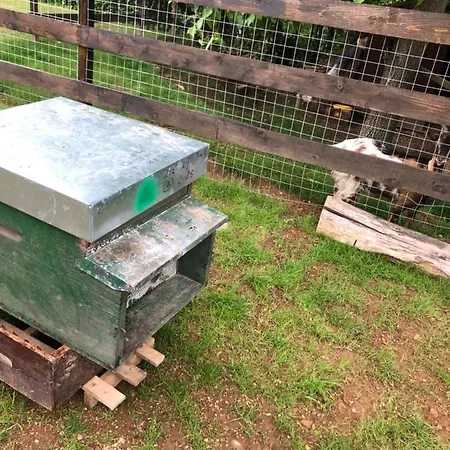 فندق مبيت وإفطار 